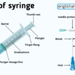 Parts of Syringe Names in English And Their Functions