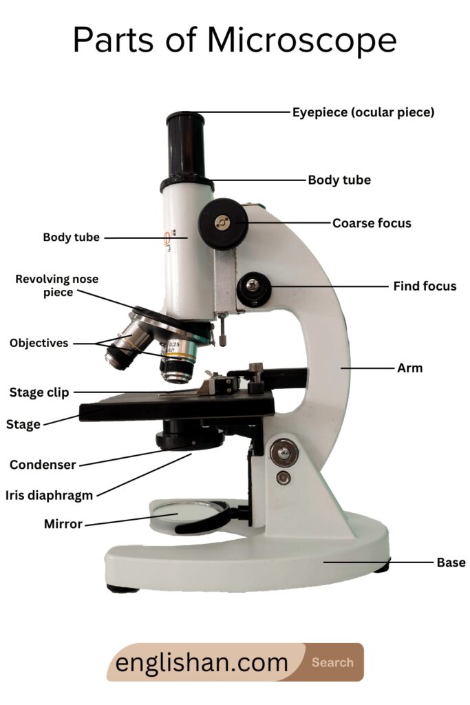 Parts of Microscope and their Functions • Englishan