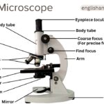 Parts of Microscope and their Functions