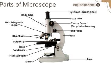 Parts of Microscope and their Functions