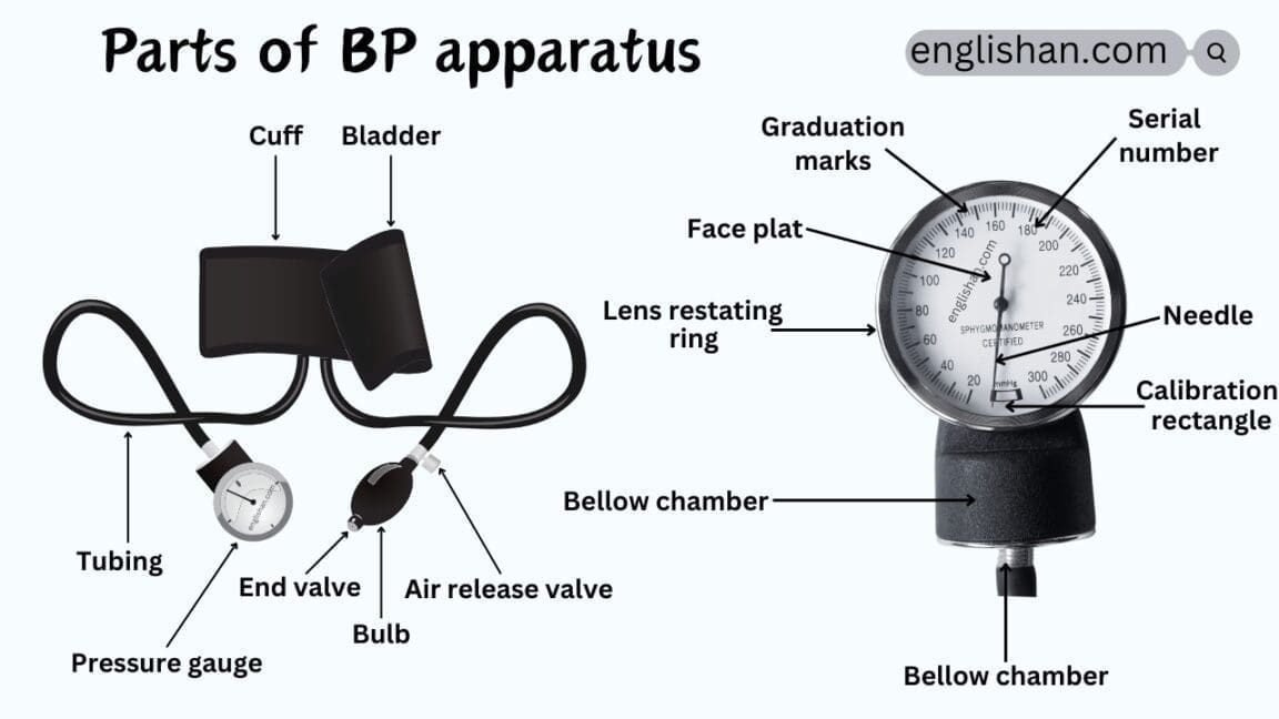 Parts of BP Apparatus Names in English with Their Functions • Englishan