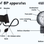 Parts of BP Apparatus Names in English with Their Functions