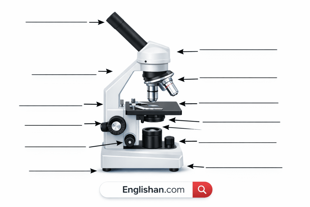 Mircroscope Part Diplay Parts Of A Microscope Tes