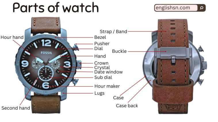Parts of Watch with their Types