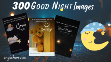 300 Good Night Images