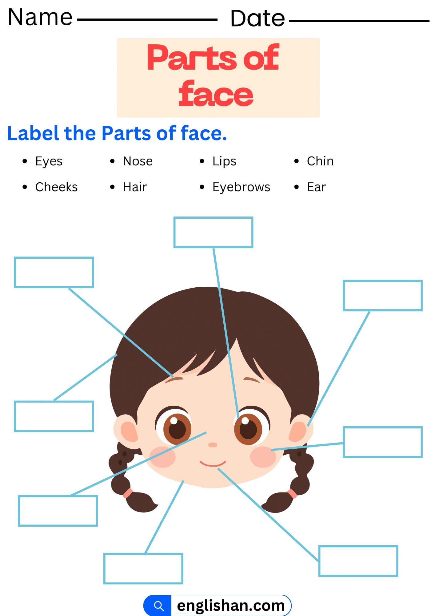 Parts of Face Worksheet and Exercises with Answers