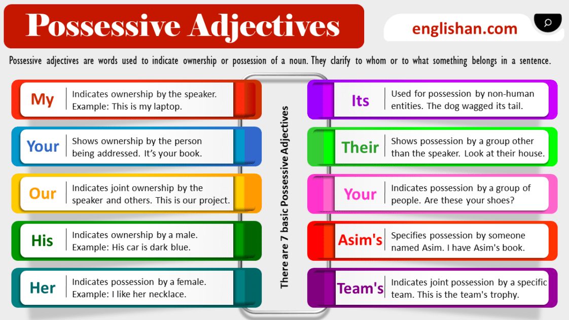 Possessive Adjectives In English With Examples • Englishan