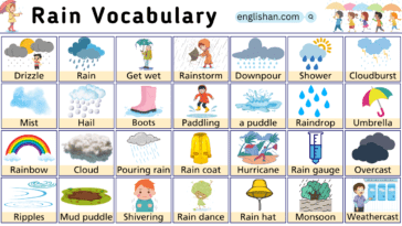 Rain Vocabulary