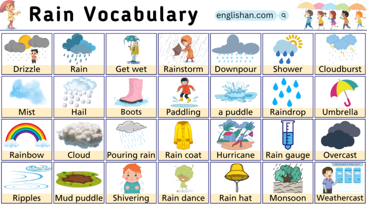 Rain Vocabulary