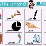 Words with Letter Q Names In English