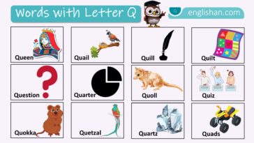 Words with Letter Q Names In English