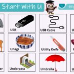 Things Start with U with Pictures Names In English
