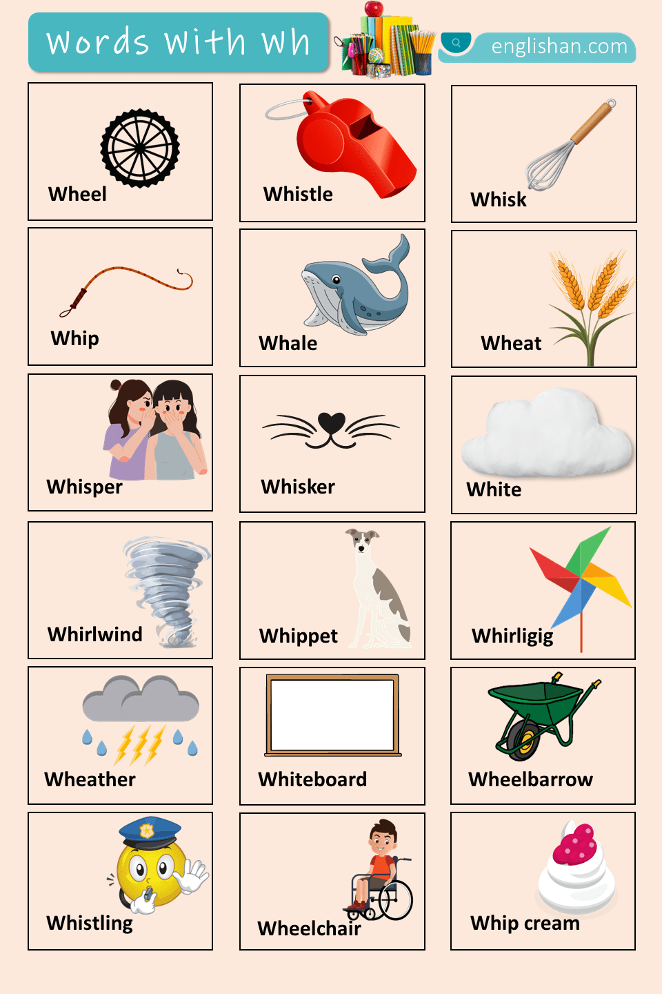 Words with Wh with Their Pictures In English