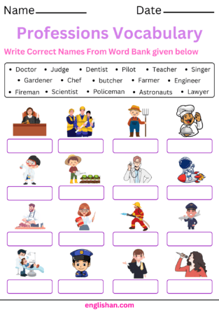 Professions Vocabulary Worksheet and Exercises
