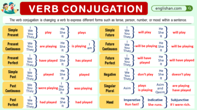 Determiners and their Types with Examples • Englishan