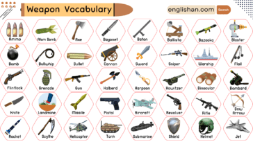 Weapon Vocabulary