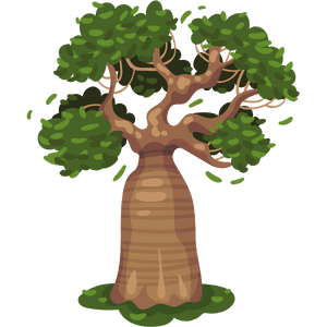 Baobab