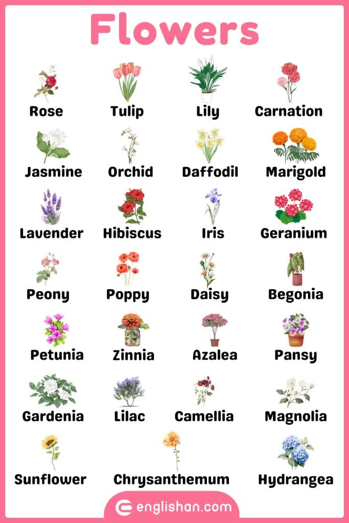 Flowers plants names in English