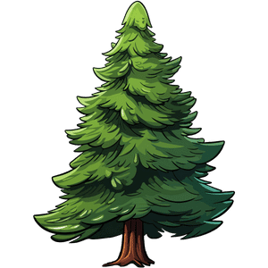 Spruce