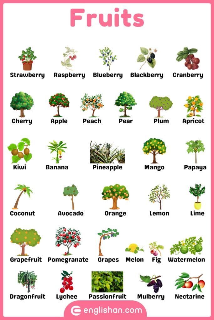 Fruits plants names in English