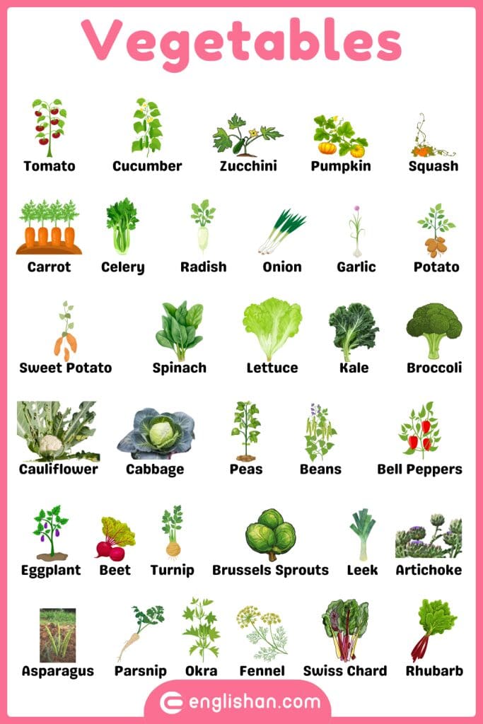 Vegetables plants names in English