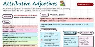 Attributive Adjectives in English with Examples, Types and Comparison with Predicate Adjectives