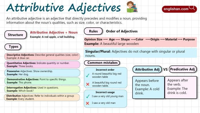 Attributive Adjectives in English with Examples, Types and Comparison with Predicate Adjectives