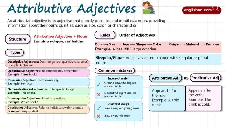 Attributive Adjectives in English With Examples