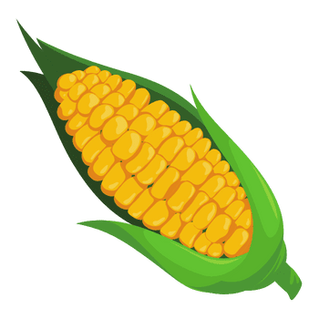 Corn