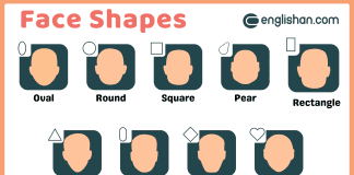 Types of Face Shapes: Learn to Identify Yours with these 9 different types of face shapes.