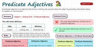 Predicate Adjectives with Examples, Definition, Examples and Comparison with Attributive Adjectives