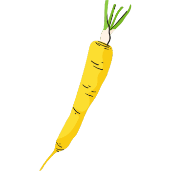 Yellow Carrots