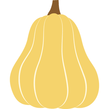 Yellow Squash