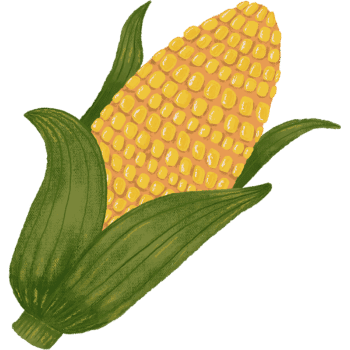 Yellow Sweet Corn