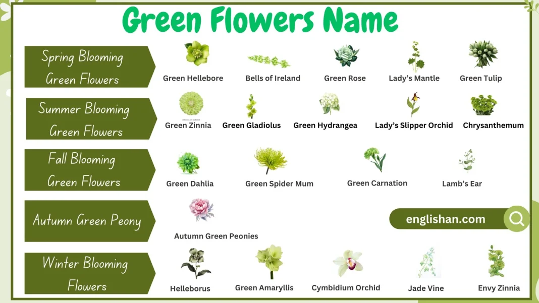 Green flowers names with examples in this image, showcasing a variety of green-colored flowers.