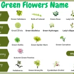 Learn Green flowers names