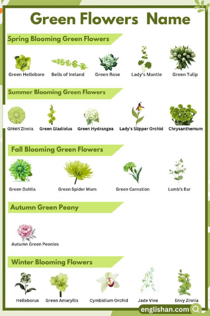 List of Green Flowers Names