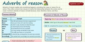 Adverbs of Reason with Examples and Placement