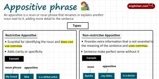 Appositive Phrase in English and Its Types