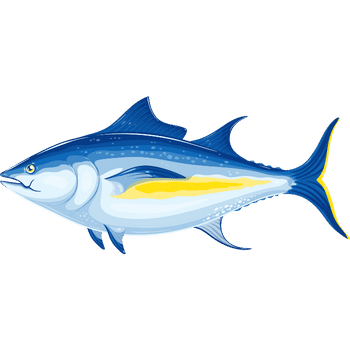 Bluefin Tuna