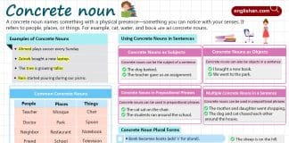 Concrete Nouns in English with Example sentences