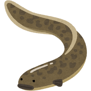 Electric Eel-Learn Sea Animals Names