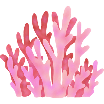 Fire Coral-Learn Sea Animals Names