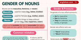 Gender Nouns in English with examples