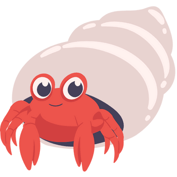 Hermit Crab