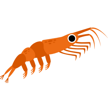 Krill