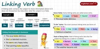 Linking Verbs in English