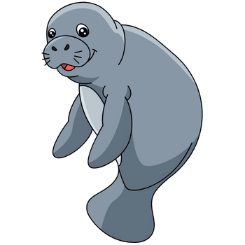 Manatee