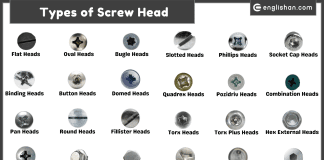 Names of Screw Heads