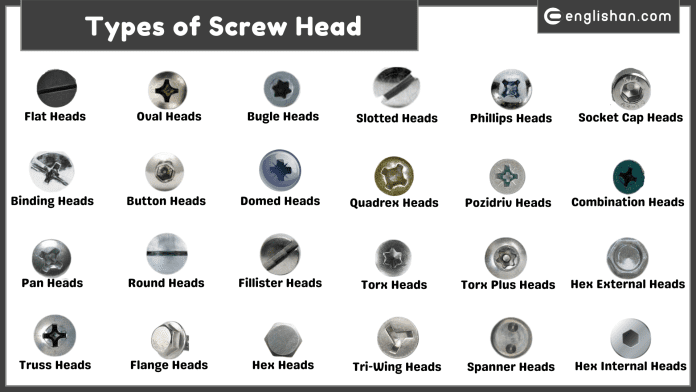 Names of Screw Heads